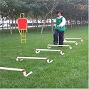 Pro Hurdles - 50cm