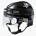 Sporting Goods : Pittsburgh Penguins Official NHL Mini Player Helmet