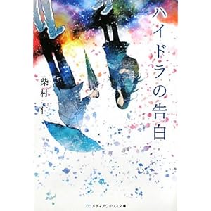 �n�C�h���̍��� (���f�B�A���[�N�X����)