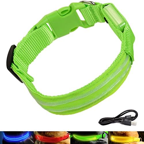 AMBESTKER - LED Dog Collars Bright Light USB Rechargeable Safety Pet Supplies Accessories (L(19-24 inch), Green)