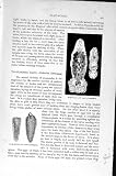 Natural History 1896 Larval Liver-Fluke Flat-Worms
