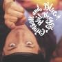 Everywhere I Look (Album Version)