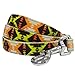 Blueberry Pet 2 Colors Southwestern Vintage Tribal Print Dog Leash with Soft & Comfortable Handle, 5 ft x 3/4