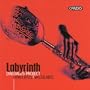 Labyrinth: Daedalus Project