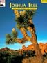 Joshua Tree: The Story Behind the Scenery
