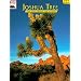 Joshua Tree: The Story Behind the Scenery