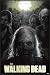 The Walking Dead - New TV Series FRAMED Poster 24x36