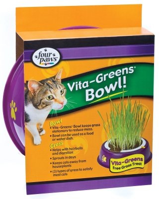 Four Paws Vita-Greens Plastic Holder & Grass 