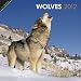 Wolves 2012 Calendar (Oneworld)