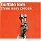 A Subjective Look at the Wonder that is Buffalo Tom