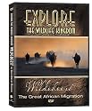Explore the Wildlife Kingdom: Wildebeest - The Great African Migration