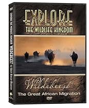 Explore the Wildlife Kingdom: Wildebeest - The Great African Migration