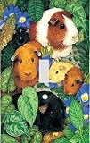 Guinea Pigs Decorative Switchplate Cover