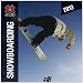 Snowboarding 2013: Snowboarden