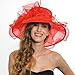 Women Voile Fascinator Church Formal Party Hat W042