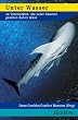 Unter Wasser: 24 Tauchpl�tze, die jeder Taucher gesehen haben muss