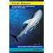 Unter Wasser: 24 Tauchpl�tze, die jeder Taucher gesehen haben muss
