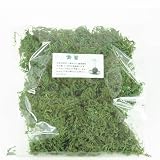 青苔　【園芸資材】 苔玉作りに 鉢物の装飾に 気軽に使える　染色水苔　1リットル