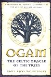 Cover of Ogam by Paul Rhys Mountfort 0892819197