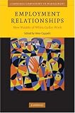 Employment Relationships: New Models of White-Collar Work (Cambridge Companions to Management)