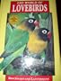The World of Lovebirds