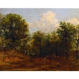 A Wood, by John Constable (Print On Demand)