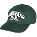 Michigan State Spartans Hockey TOW Regal Cap