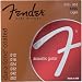 Fender Accesories 073-0880-303  80/20 Bronze Acoustic Guitar Strings, Light