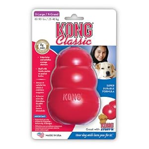 KONG Classic Kong Dog Toy