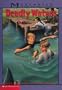 Deadly Waters (Mysteries in Our National Parks)