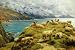 Wallmonkeys Peel and Stick Wall Decals - Sheep Reposing, Dalby Bay, Isle of Man by Basil Bradley - Removable Graphic