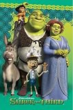 Laminated Shrek the Third Group Shot Shrek The Third Movie 61x91.5cm Poster