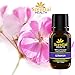 Geranium Essential Oil By Scential Health 15ml (.5oz) 100% Certified Pure Therapeutic Grade Essential Oil With No Fillers, Bases or Additives AND ZERO Carrier Oils