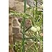 Gardener's Blue Ribbon 3-Pack Ultomato Tomato Plant Cage