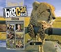 Stars of Big Cat Diary