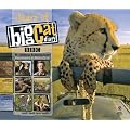 Stars of Big Cat Diary