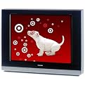 Toshiba 27" Flat Screen SD TV- 27DF47