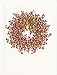 Caspari Embossed Holiday Cards with Red and Gold Pepperberry Wreathe Foil Stamp Design, includes 10 cards with 10 envelopes