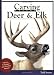 Carving Trophy Deer and Elk: A Technique, Painting, and Pattern Manual