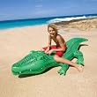 Intex Recreation Corp Giant Gator Ride-On