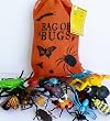 Bag of Bugs