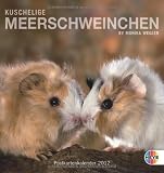 Kuschelige Meerschweinchen 2012. Postkartenkalender