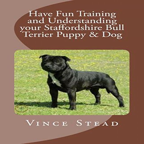 have fun training and understanding your staffordshire bull terrier puppy  dog