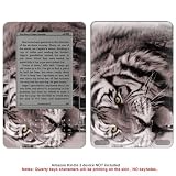 Protective Decal Skin Sticker for Amazon Kindle 2 (No keyholes) case cover NoKey_KDL2-473