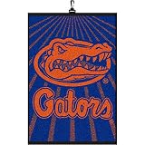 Florida Gators Golf Towel