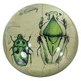 Scarab Motif Crystal Paperweight