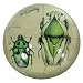 Scarab Motif Crystal Paperweight