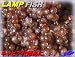 フェイク キャビア　Lamp Fish 70g