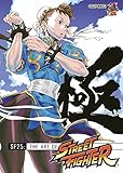 SF25 : the art of Street fighter