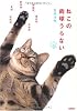 ねこの肉球うらない